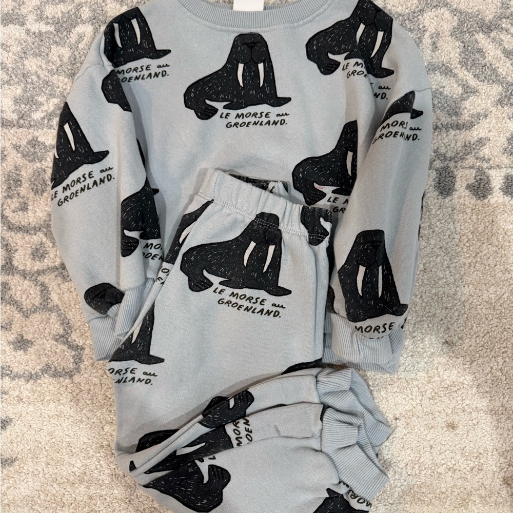 Zara Kids sweater Set